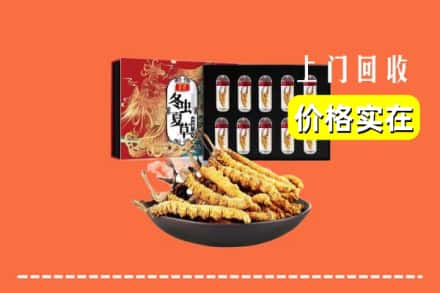 日喀则岗巴回收冬虫夏草